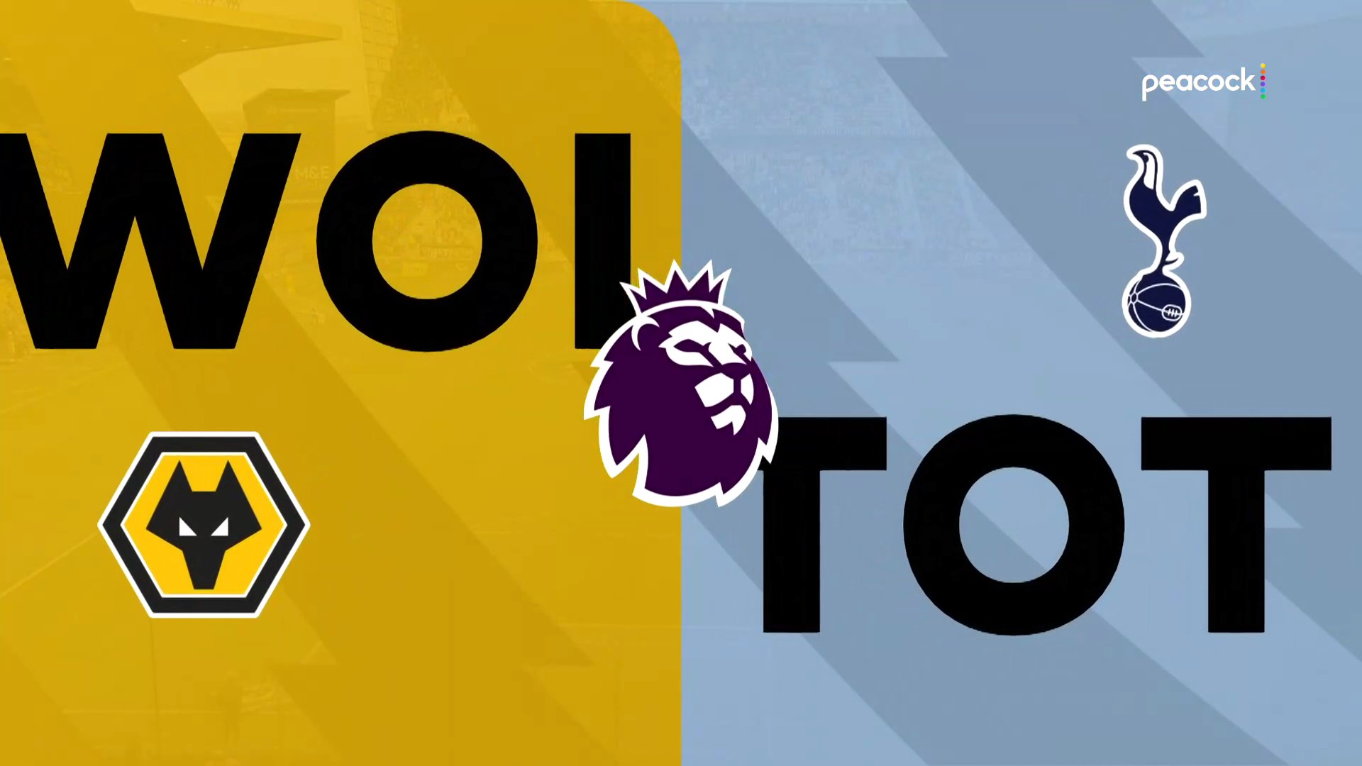 20250413 wolves-tott[00_01_16][20250414-033211].jpg